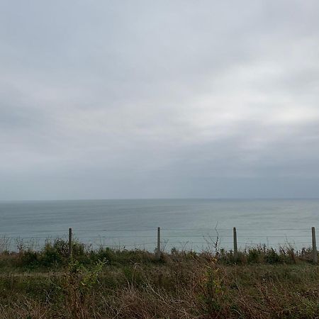 Sanctuary By The Sea With Large Room Including Lounge, Bathroom, Direct Garden Access & Free Parking Brighton Eksteriør billede